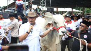 Bukan Sekadar Kontes! Wamentan Sudaryono Ubah Expo Sapi Jadi Panggung Revolusi Ternak!